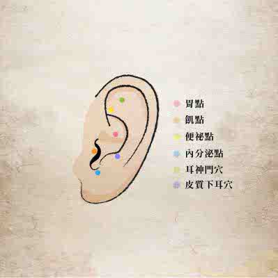 中醫耳穴調理