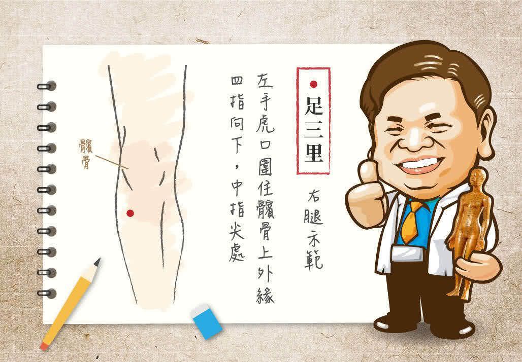 足三里穴